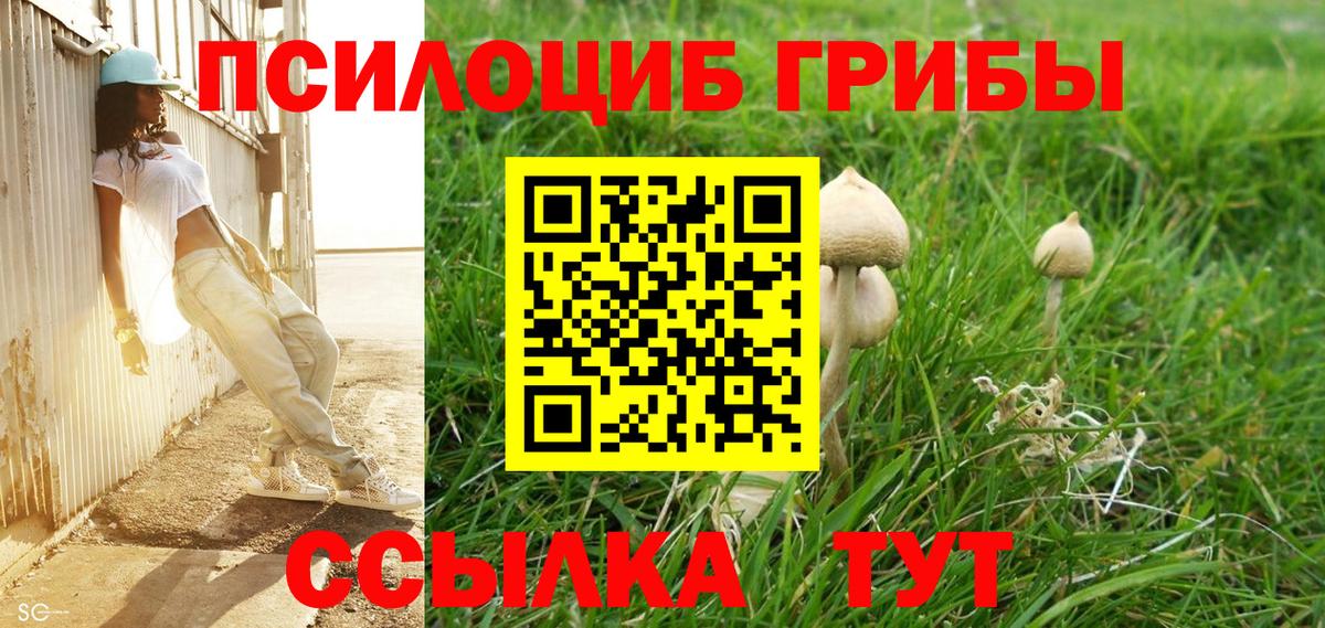 Псилоцибиновые грибы мухоморы Ангарск
